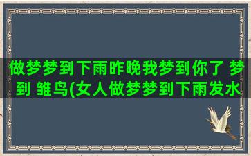 做梦梦到下雨昨晚我梦到你了 梦到 雏鸟(女人做梦梦到下雨发水)